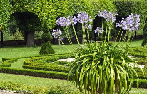 ֣׷ȫʱ̱ŷ ʱ1119Сʱ